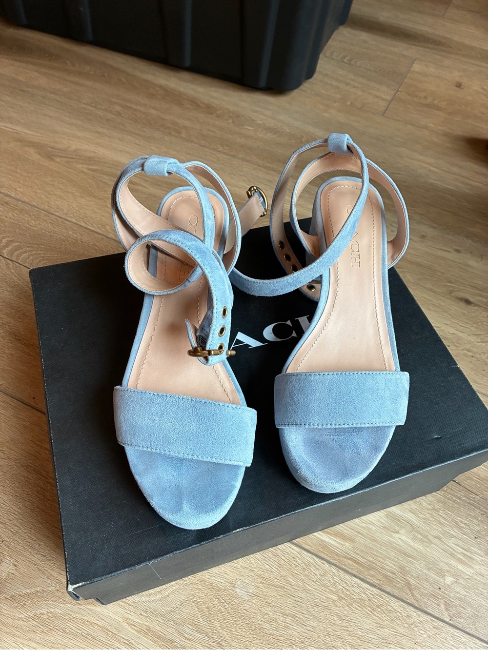 Powder blue strappy coach heels